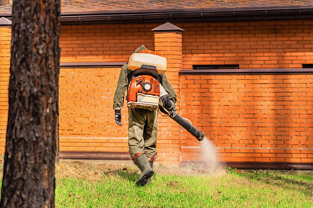 Trusted Mosquito Control service in Oakbrook Terrace, IL - Nex Pest Control